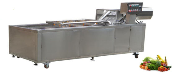 attrezzatura lavante di verdure della catena della rete della trasmissione del macchinario di trasformazione dei prodotti alimentari 1500Kg/h