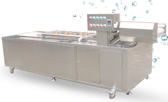 attrezzatura lavante di verdure della catena della rete della trasmissione del macchinario di trasformazione dei prodotti alimentari 1500Kg/h