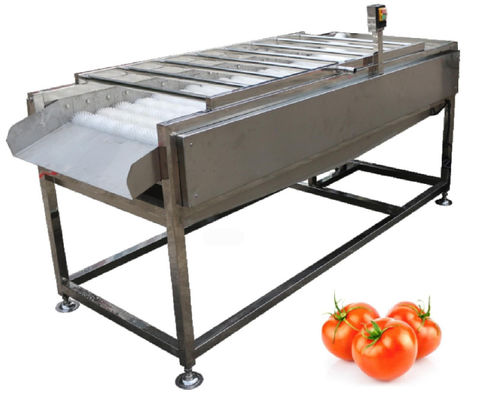 attrezzatura d'officina da trasformazione dei prodotti alimentari 500kg/h, rondella di verdure della spazzola della frutta