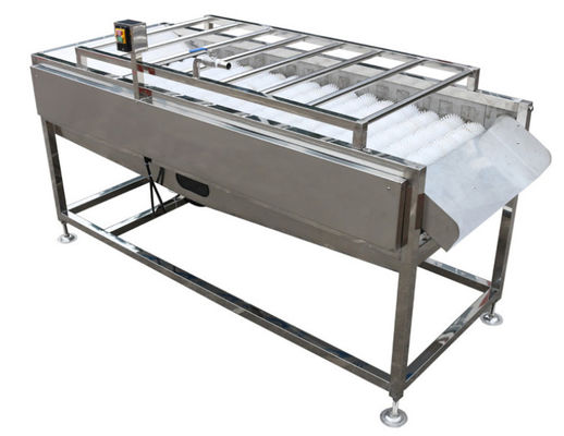 attrezzatura d'officina da trasformazione dei prodotti alimentari 500kg/h, rondella di verdure della spazzola della frutta