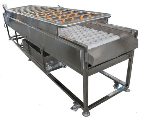 Macchinario di trasformazione dei prodotti alimentari 3.35KW, macchina di pulizia di spruzzo 1000kg/h