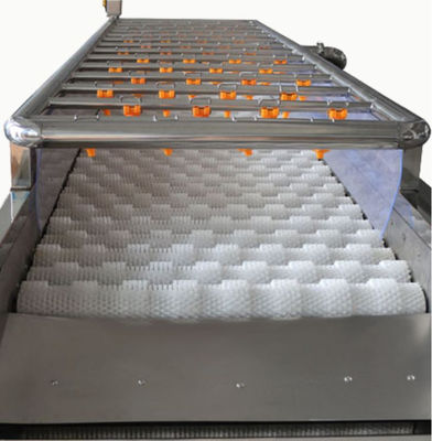 Macchinario di trasformazione dei prodotti alimentari 3.35KW, macchina di pulizia di spruzzo 1000kg/h