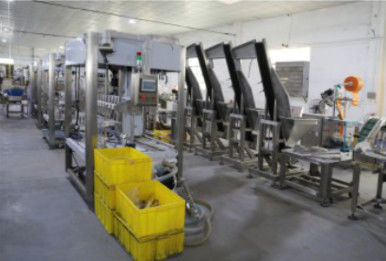 Tappatrice dell'imbottigliamento 20KW, macchina automatica di imballaggio con involucro termocontrattile 1.2T