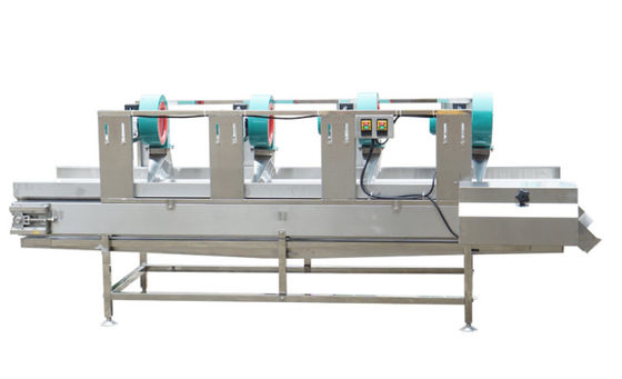 Il macchinario di trasformazione dei prodotti alimentari SS304, 500kg/h asciuga all'aria il Fruit machine