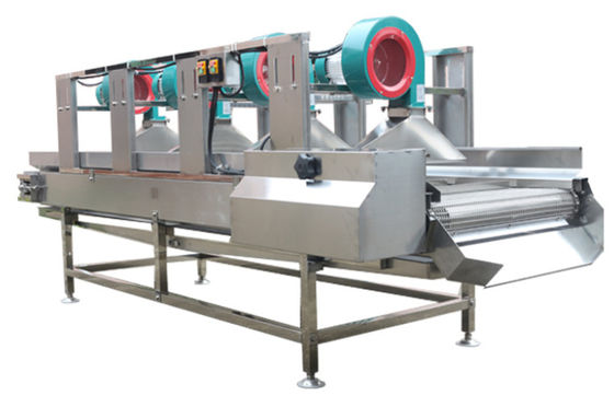 Il macchinario di trasformazione dei prodotti alimentari SS304, 500kg/h asciuga all'aria il Fruit machine