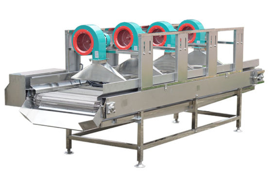 Il macchinario di trasformazione dei prodotti alimentari SS304, 500kg/h asciuga all'aria il Fruit machine