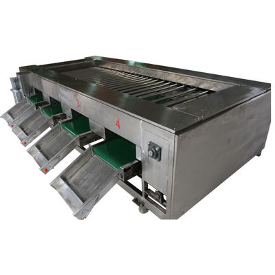 macchinario di trasformazione dei prodotti alimentari 2000kg/h, frutta di verdure che ordina attrezzatura
