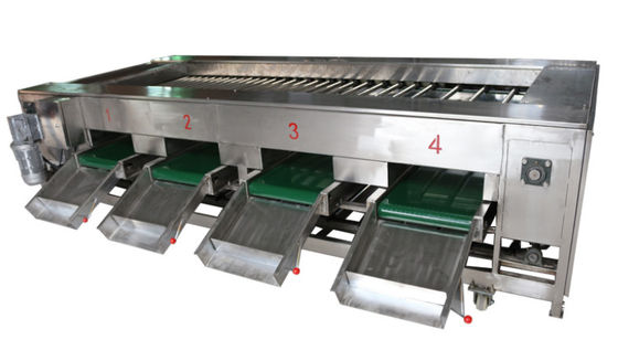 macchinario di trasformazione dei prodotti alimentari 2000kg/h, frutta di verdure che ordina attrezzatura