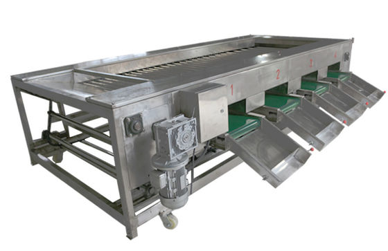 macchinario di trasformazione dei prodotti alimentari 2000kg/h, frutta di verdure che ordina attrezzatura